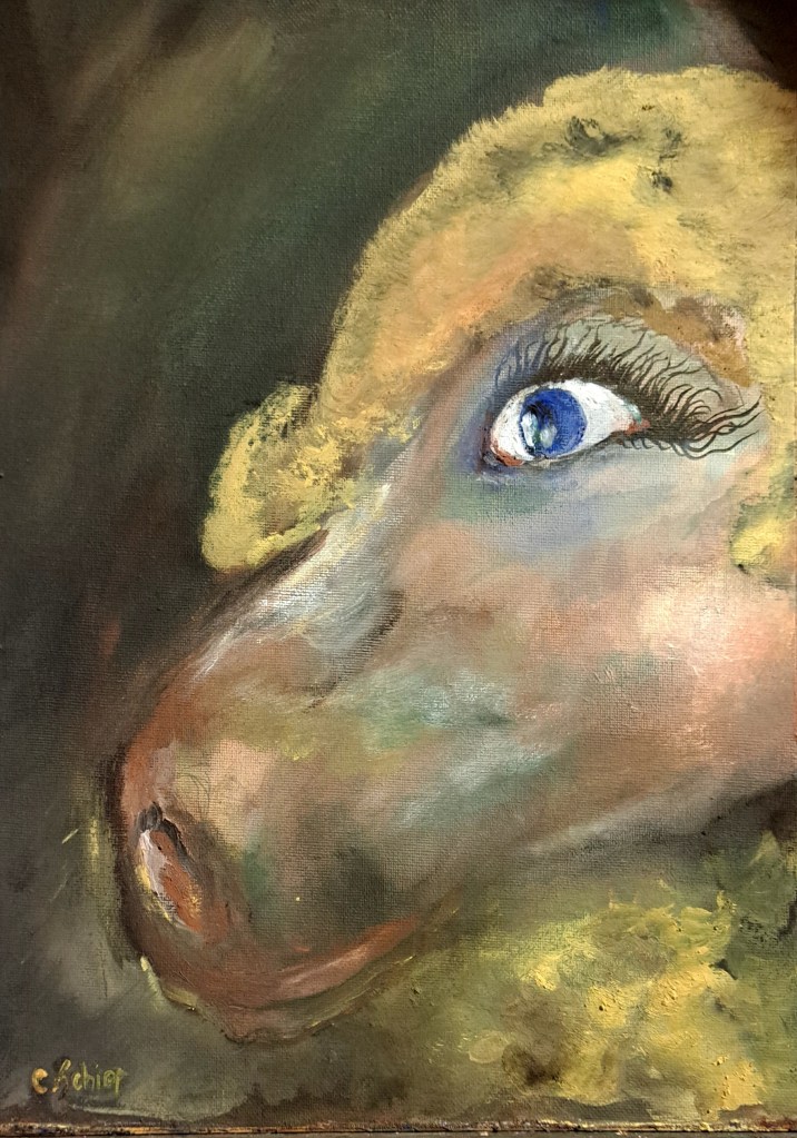 CALUL CU OCHI DE FECIOARĂ